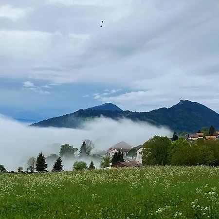 Hotel Ming Shan Bullet